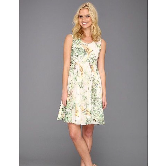 Ted Baker Dresses & Skirts - Ted Baker Liano Dancing Leaves Bird Butterfly Dragonfly Print A-Line Dress 8